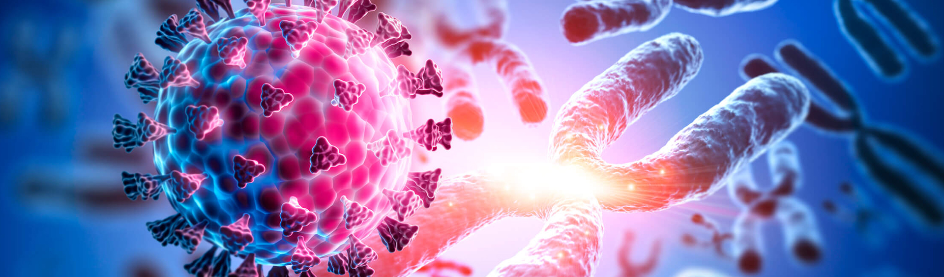 Covid-1297158114 - WEB Version Site header banner
