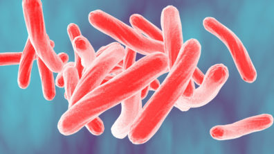 Bacteria which cause tuberculosis Mycobacterium tuberculosis, 3D illustration