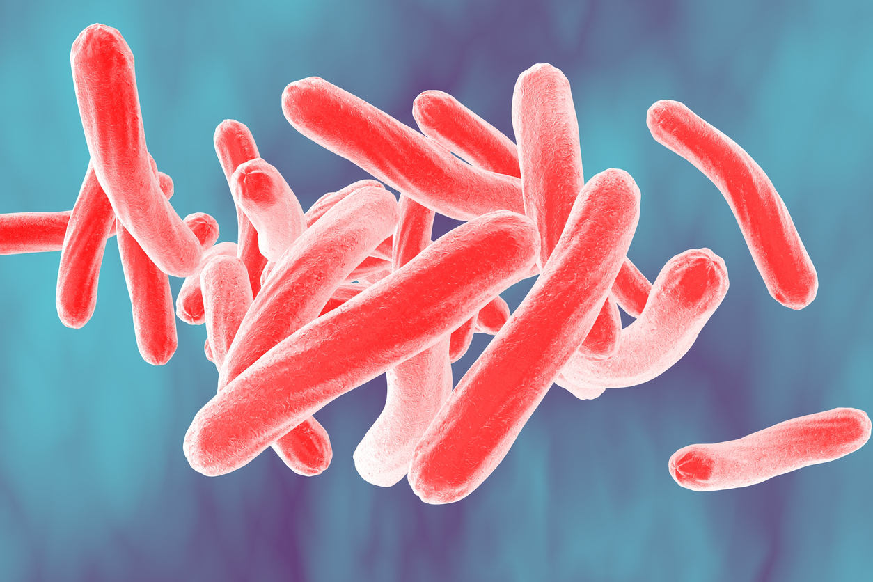 Bacteria which cause tuberculosis Mycobacterium tuberculosis, 3D illustration