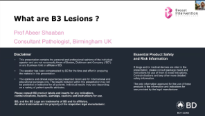 What are B3 Lesions?