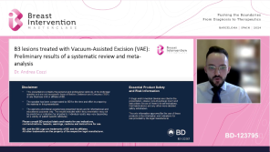 B3 lesions treated with VAE Preliminary results of a systematic review and meta-analysis