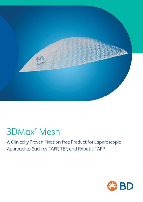 3D Max Mesh
